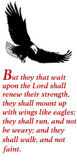 Eagle with verse